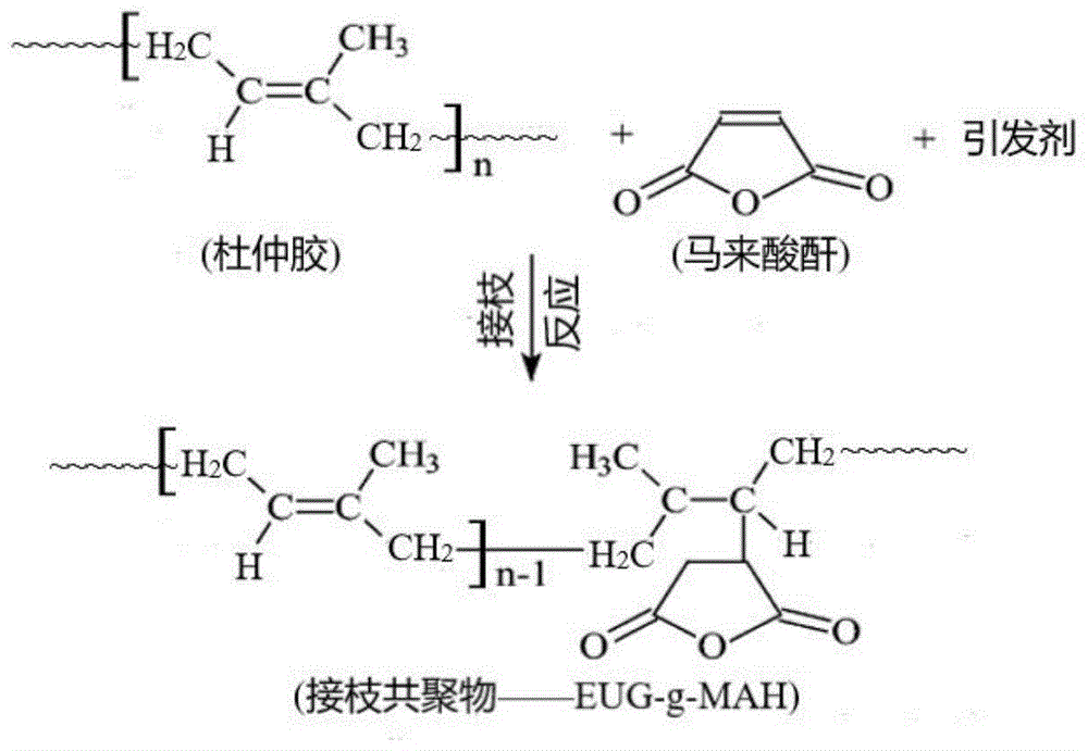 马来酸酐接枝原理图片