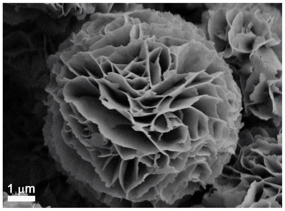 纳米花形成机制图片