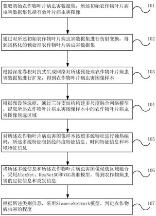 基于多源特征融合的农作物病虫害图像识别方法与流程