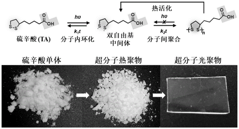 基於硫辛酸類小分子化合物的光交聯動態可逆超分子聚合物粘合劑的製備