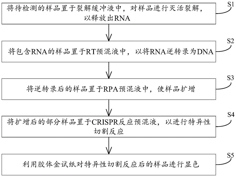 一种病原体核酸的即时检测系统及方法