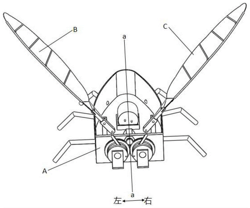 仿生机械翅膀结构图图片