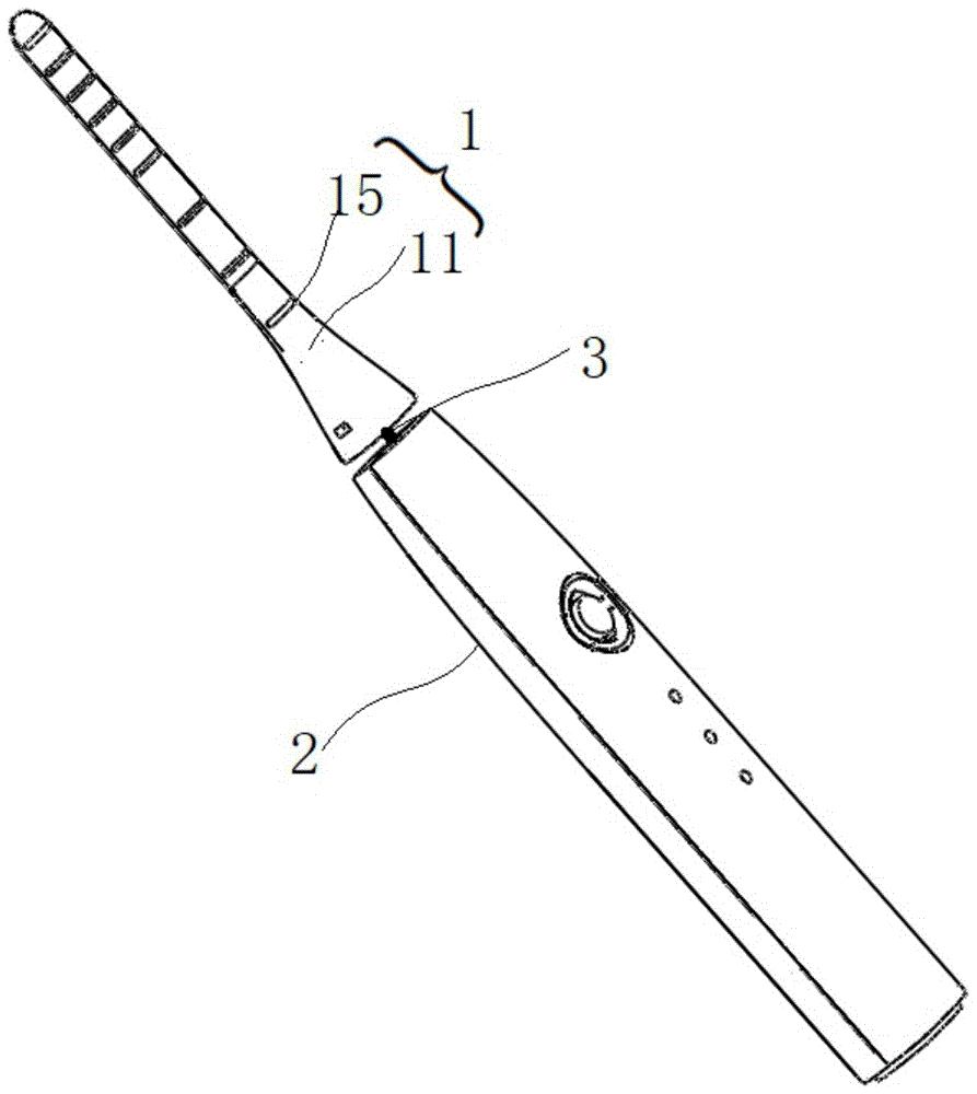 电动牙刷刷头结构图片