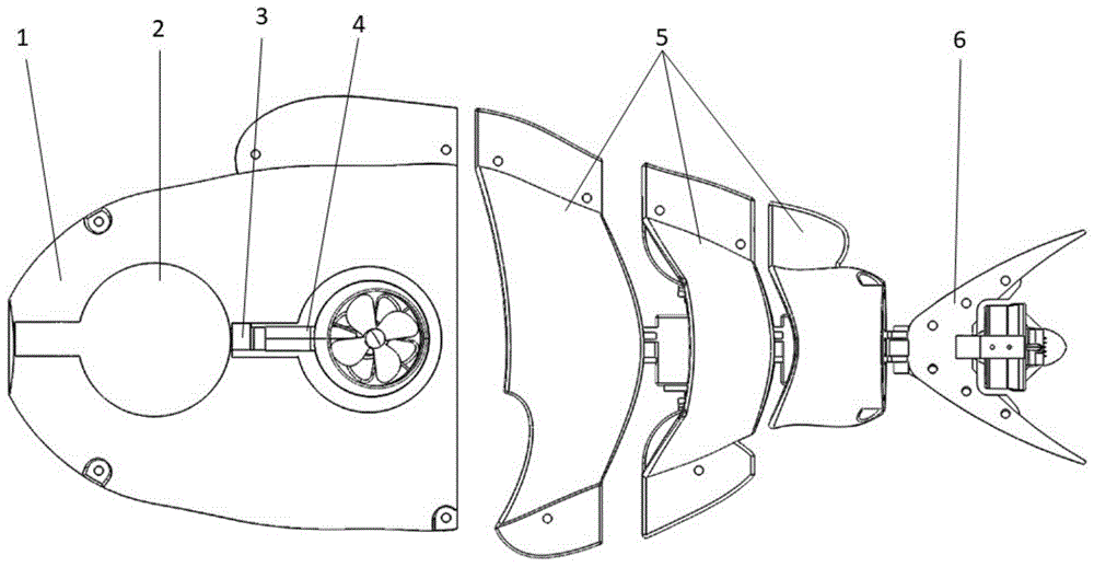 仿生机械鱼结构简图图片