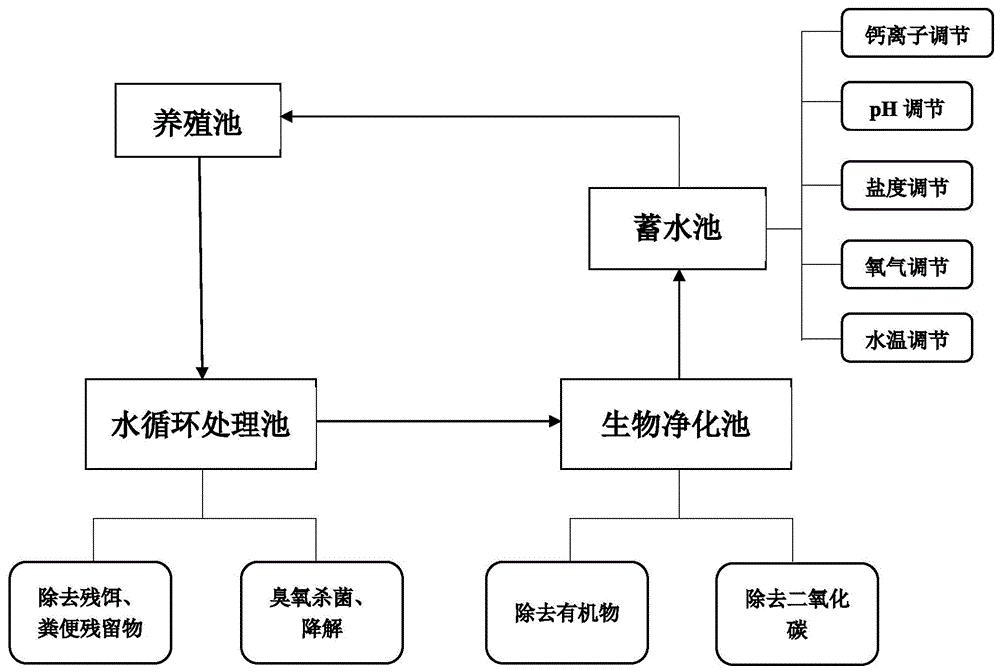 循环水养虾设备安装图图片