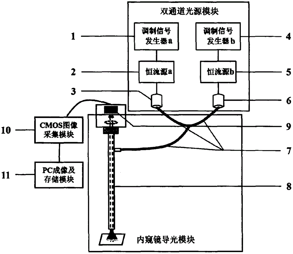 一种荧光电子内窥镜成像系统及其检测方法