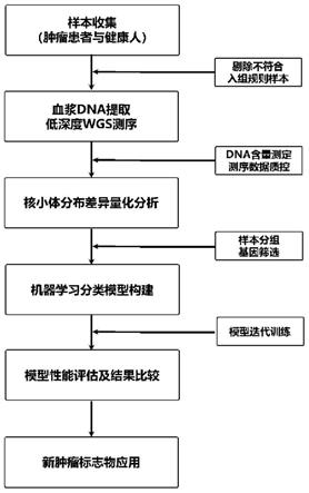 基因检测技术领域,具体涉及一种基于核小体分布特征的肿瘤标志物筛选