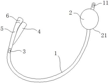 气囊导尿管构造图图片