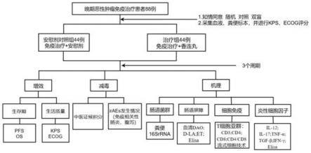 香连丸在制备用于免疫治疗泛癌患者减毒增效的药物中的应用的制作方法