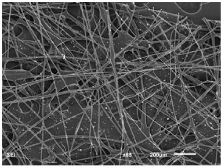 一种转杯离心纺丝制备聚乙烯醇缩丁醛微纳米纤维的方法和应用