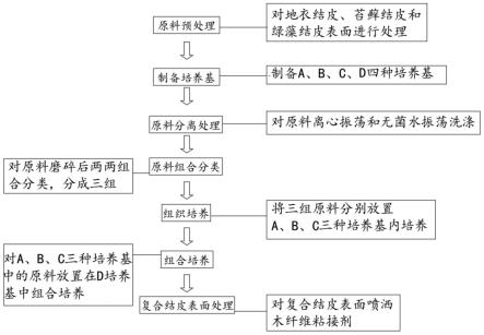 一种地衣与苔藓、藻类复合结皮的制备方法与流程