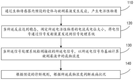 尿液检测方法及装置与流程