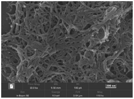一种纳米纤维素基多孔固体酸催化剂及其制备方法与应用