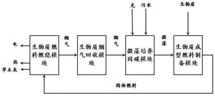 一种耦合微藻固碳生物质成型燃料的制备系统及方法