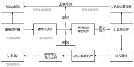 一种基于边际盐生能源植物甜高粱修复含油盐碱土壤的方法