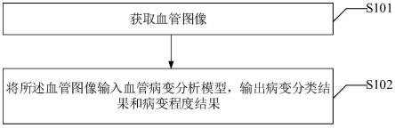 一种血管病变的确定方法、装置、电子设备及存储介质与流程