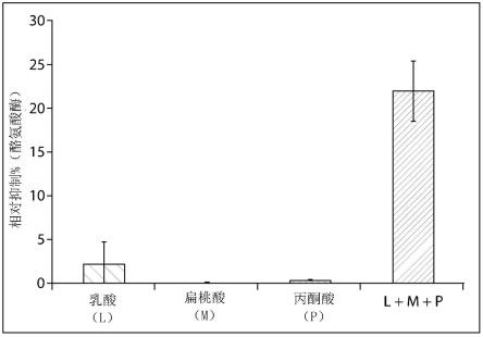 个人护理组合物的制作方法