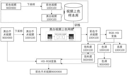 一种激光刀手术黑白模式视频上色方法和系统与流程