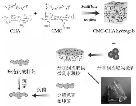 一种丹参酮提取物微乳水凝胶新型纳米载药体系及其制备方法和应用与流程