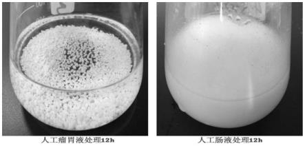 一种过瘤胃包衣制剂及其制备方法和应用与流程