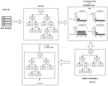 基于XGBoost模型结核病耐药基因变异识别方法