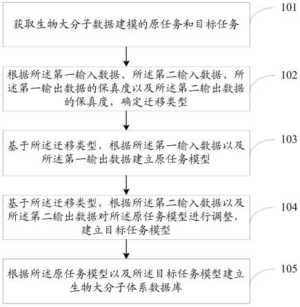 基于迁移学习的生物大分子体系数据库构建方法及系统与流程