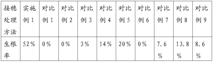 一种金豆的扦插方法