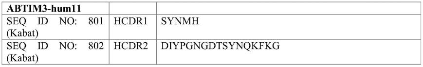 用于治疗骨髓纤维化和骨髓增生异常综合征的抗TIM-3抗体MBG453和抗TGF-β抗体NIS793与或不与地西他滨或抗PD-1抗体斯巴达珠单抗的组合的制作方法