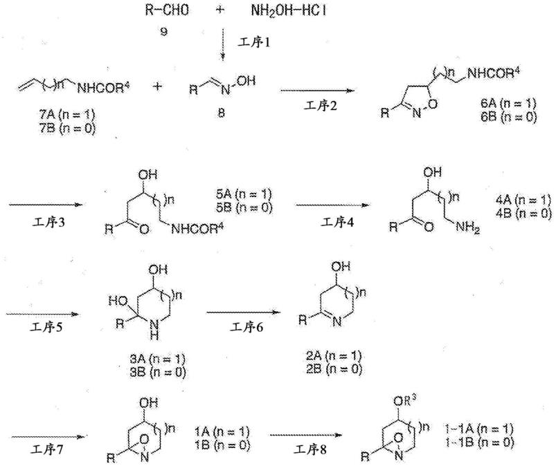 Kakeromycin及其衍生物的制造方法与流程