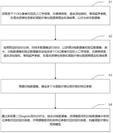 一种肾脏纤维化预测模型的构建方法、系统、终端及介质