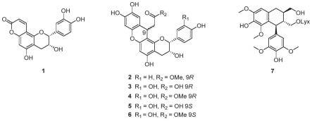 一类具有α-葡萄糖苷酶抑制活性的酚类化合物的制备方法与用途