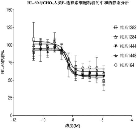 抗E-选择素抗体、组合物和使用方法与流程