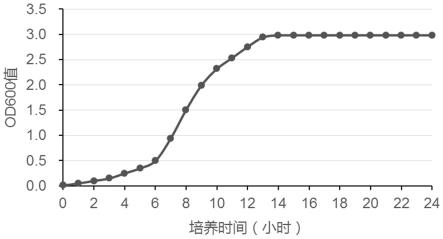 人乳杆菌LHM11及菌剂和应用