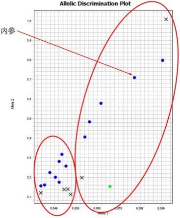 快速鉴定蓝莓果型大小的分子标记引物组合及其应用的制作方法