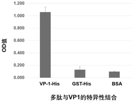 一种人肠道病毒71型VP1蛋白特异性结合多肽及其制备方法和应用