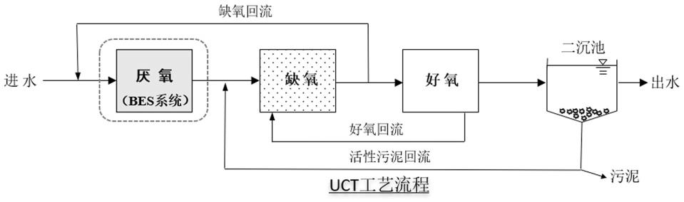 一种实现废水磷超低排放的复合生物电极及应用