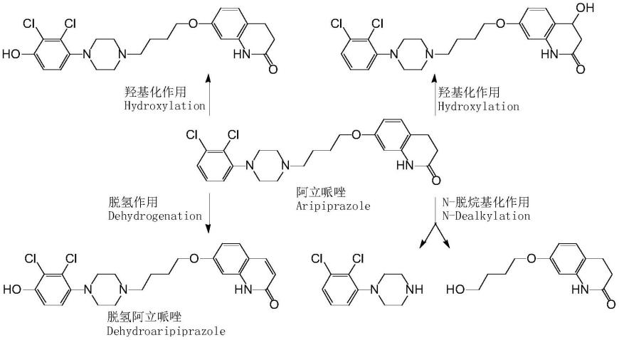 一种基于磁微粒化学发光法检测阿立哌唑和脱氢阿立哌唑浓度的试剂、试剂盒和方法与流程