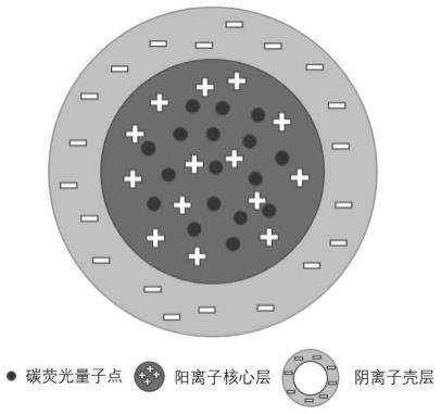 一种基于量子点的海上油田高渗透油藏应用的核壳型荧光微球调堵剂的制备方法与流程