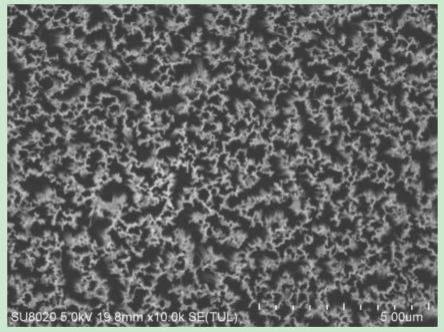 提升光电催化还原CO2选择性和效率的Bi/SiNWs光电阴极材料及其制备方法