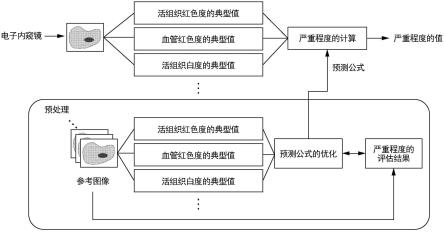 内窥镜用处理器以及内窥镜系统的制作方法