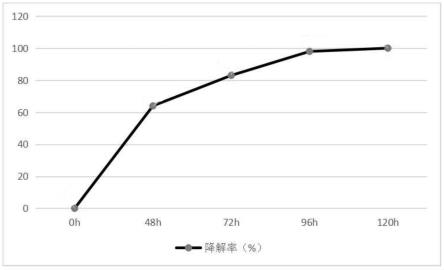 一种降解黄曲霉毒素的应用及方法与流程