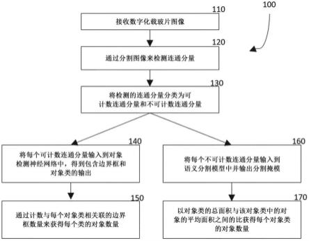 生物样品中对象的系统性表征的制作方法