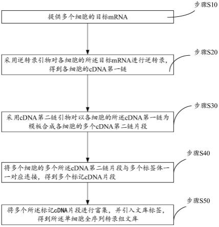 一种单细胞全序列转录组文库构建的方法与流程