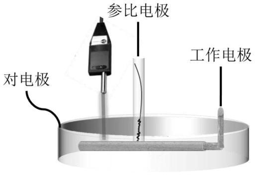 一种基于表面增强拉曼光谱原位动态监测水环境中PPCPs的方法