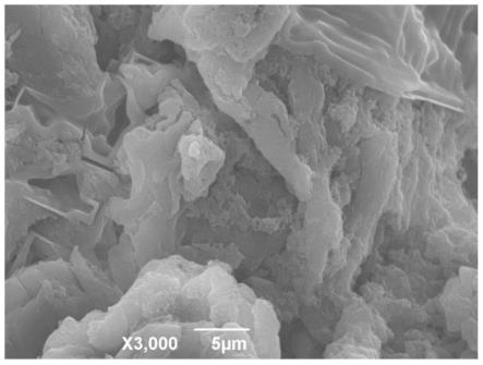 一种离子印迹改性多孔海藻酸钠微球材料的制备及应用
