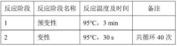 一种白囊耙齿菌及其应用