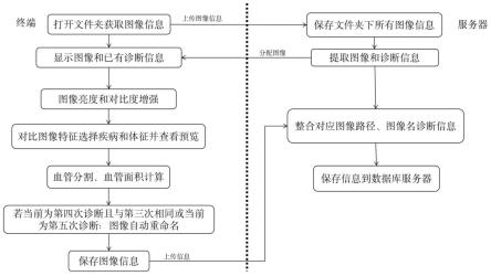 一种智能辅助层级式眼科体征及疾病标注方法及系统