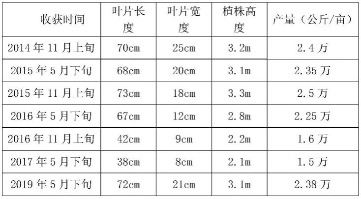 一种高产量苦荬菜的种植方法及其应用与流程