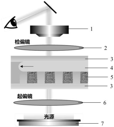 一种柔性阵列式微通道液晶传感器、及其制备方法、液晶填充方法和应用