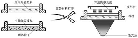 一种双响应4D打印异质陶瓷支架及其制备方法